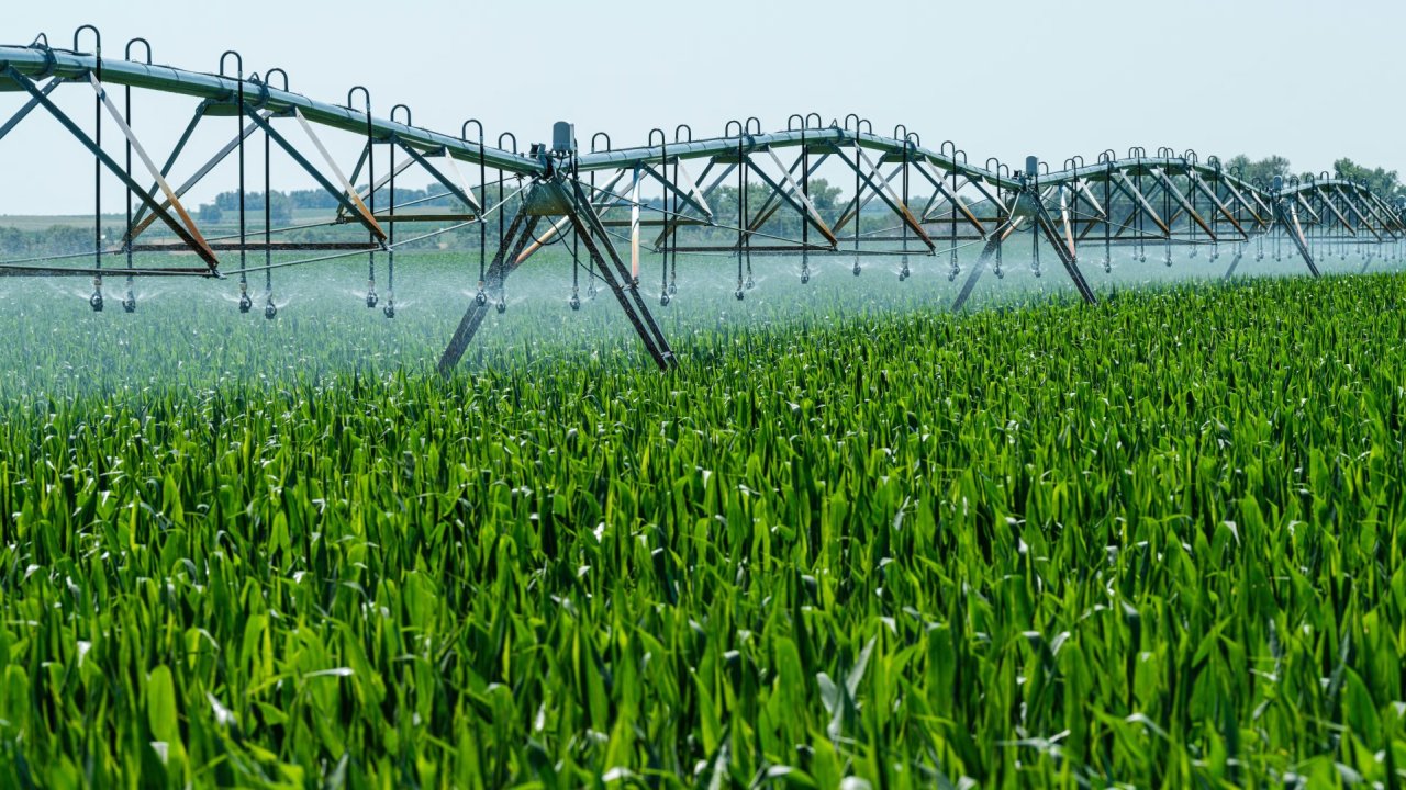 Kazakhstan pilot project tests modern irrigation tech for Central Asia - EDB (Exclusive)