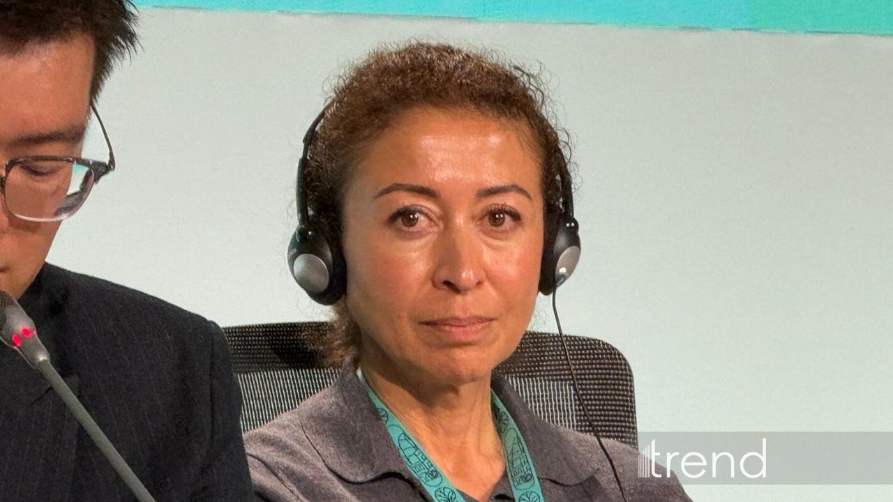 Azərbaycanda investisiya üçün ciddi imkanlar var, Qarabağa səfərdən sonra bu fikrim daha da gücləndi - Xarici şirkət nümayəndəsi