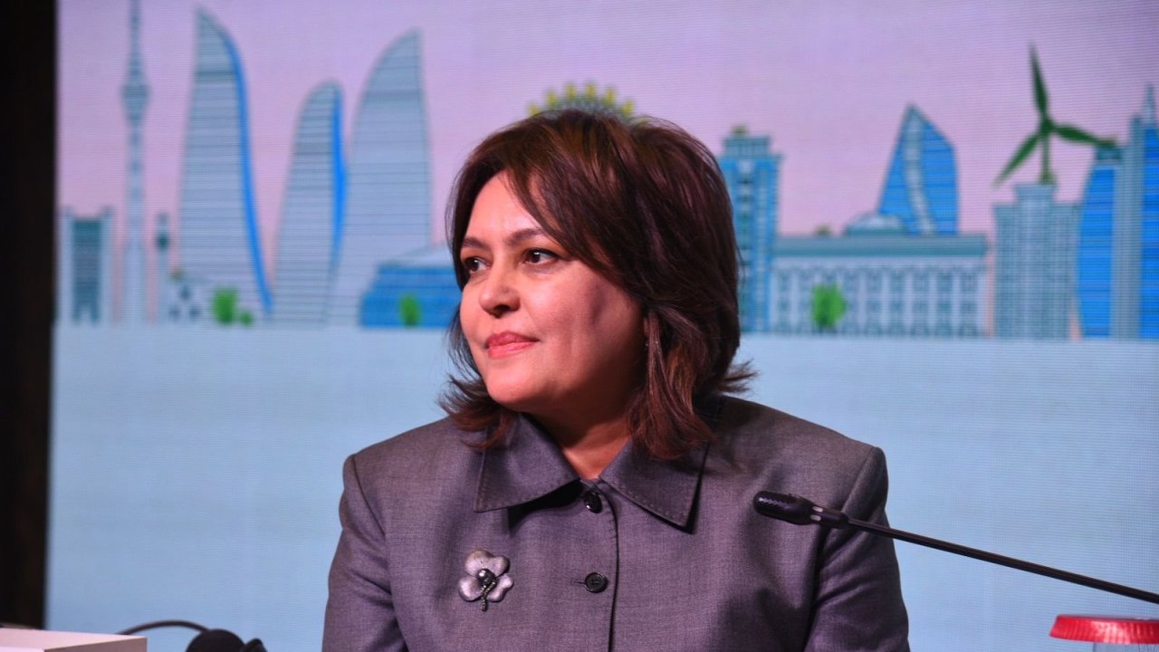 Azərbaycan müxtəlif ekoloji problemlərlə üzləşib - Umayra Tağıyeva