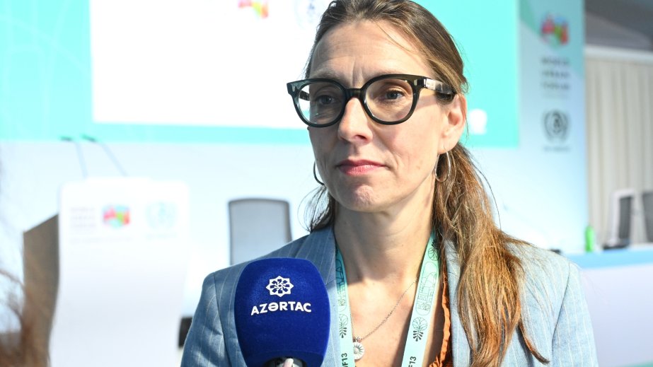 ÜST nümayəndəsi: Sağlam yaşayış üçün evin yerləşdiyi mühit də önəmlidir
