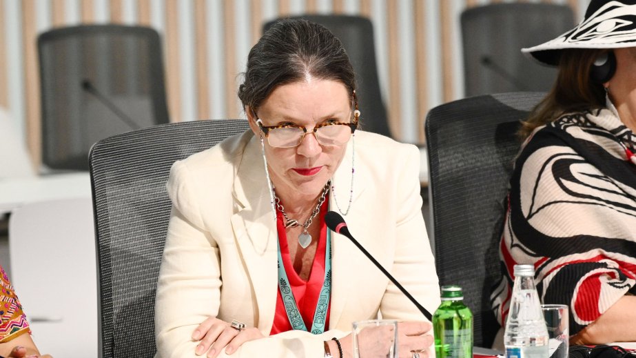 Mexican Director General: It is important to take into account the unique characteristics of each ethnic group