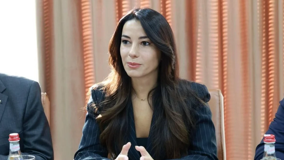 Gürcüstanın iqtisadiyyat naziri Bakı-Tbilisi qatarının açılması münasibətilə azərbaycanlı həmkarlarına təşəkkür edib