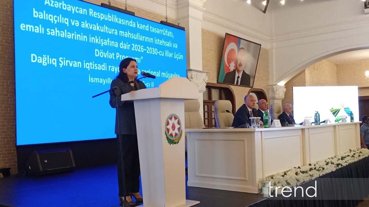Dövlət Proqramı çərçivəsində buğda məhsuldarlığının artırılması üçün yeni dəstək mexanizmləri tətbiq olunacaq - Nazir müavini