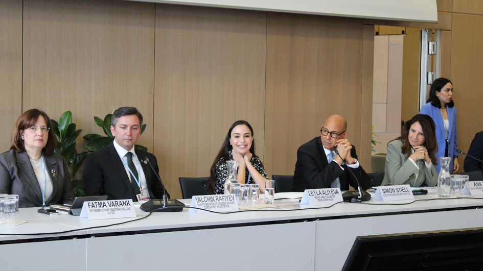Leyla Aliyeva participates in Bonn discussion on environmental impact of Caspian Sea’s declining water level
