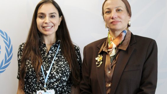 Leyla Aliyeva meets with UN Under-Secretary-General in Bonn