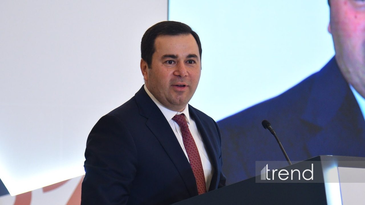 Gənclər siyasəti Azərbaycanın əsas prioritetlərindən biridir – Nazir müavini
