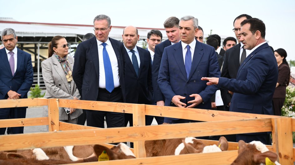 Xocalıda “Qoç Ət”in heyvandarlıq kompleksi ilə tanışlıq olub