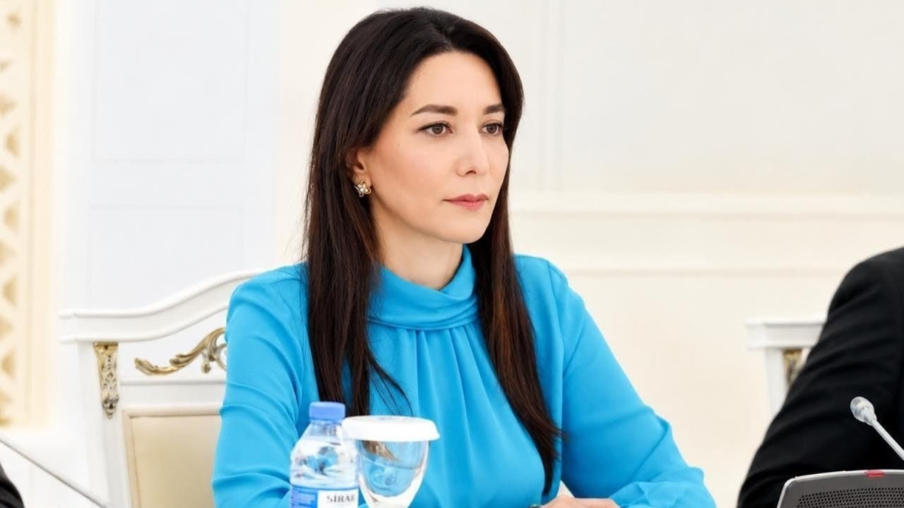 İnsan hüquqları mədəniyyətinin güclənməsi fəal vətəndaşlıq mövqeyindən asılıdır - Səbinə Əliyeva (MÜSAHİBƏ)