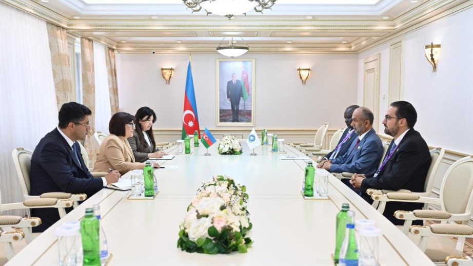 Azerbaijan, Global Council for Tolerance and Peace explore enhancing parliamentary ties
