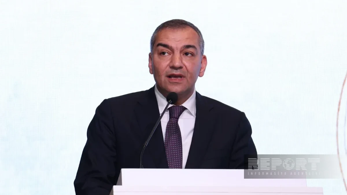 Sədr: "Turizm sahəsində uğurun qiymətləndirilməsi meyarları dəyişir"