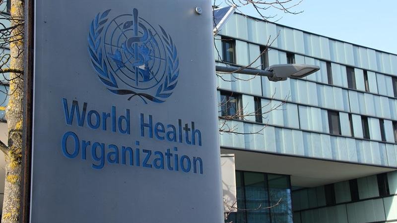 WHO: 1,300 people died due to high temperatures in Europe