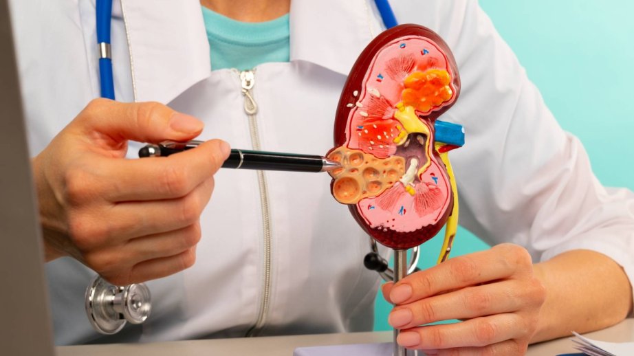 Japan startup to conduct clinical trials of pig kidney transplants