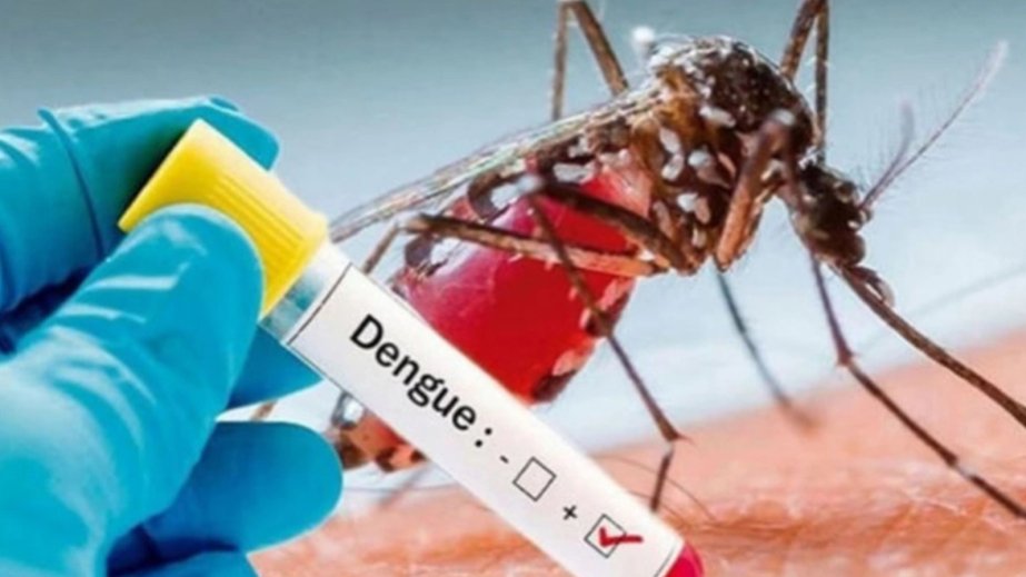 Sri Lanka dengue cases pass 52,000, DENV-2 identified as primary strain