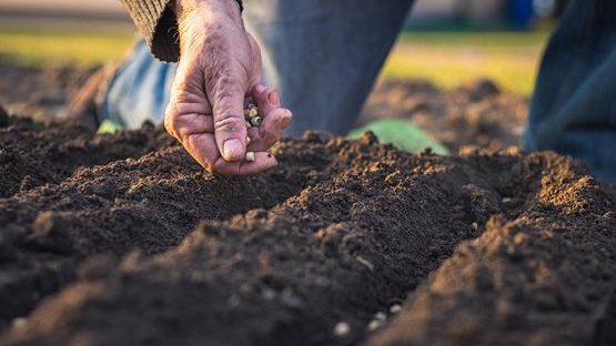 Türkiye's agricultural input prices jump 38.97% year-on-year in April 2026