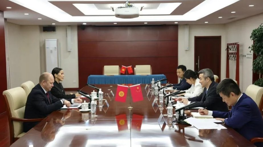 Kyrgyzstan, China launch project to treat children with heart defects