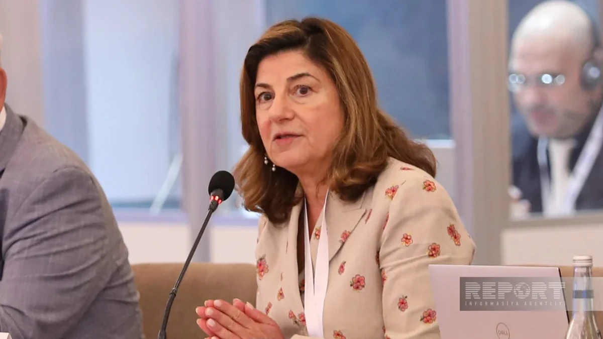 ICMP ready to help mediate missing persons issue between Azerbaijan and Armenia