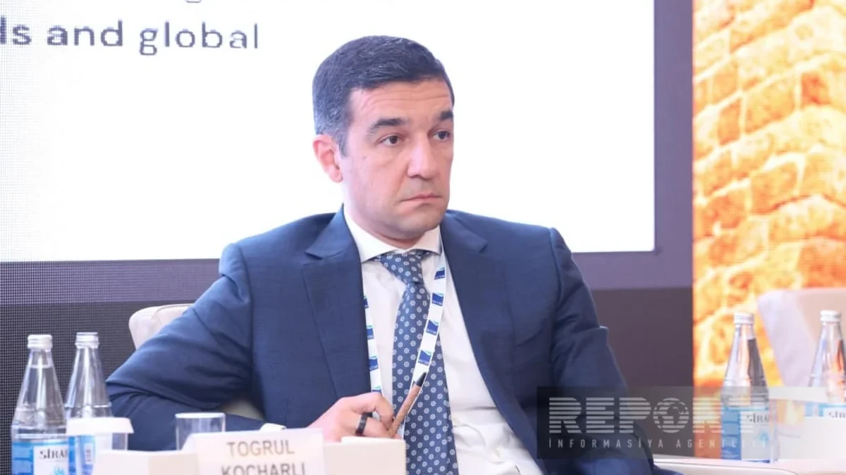 Togrul Kocharli: SOCAR Trading eyes expansion into African and Southeast Asian markets