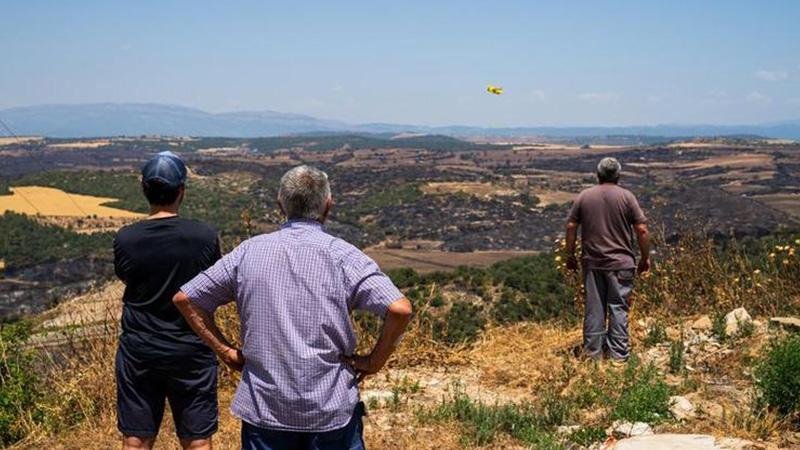 Approximately 50,000 people evacuated due to forest fires in Spain