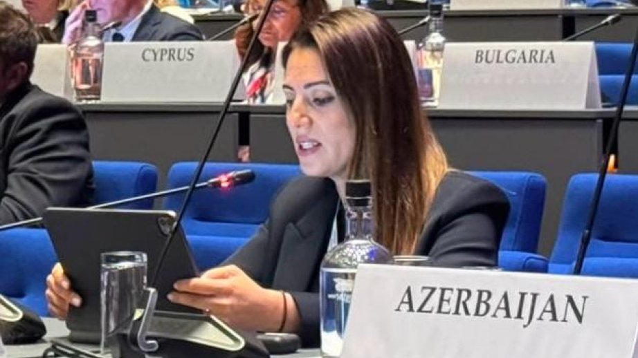 Azerbaijani MP: The region today has a genuine opportunity for lasting peace