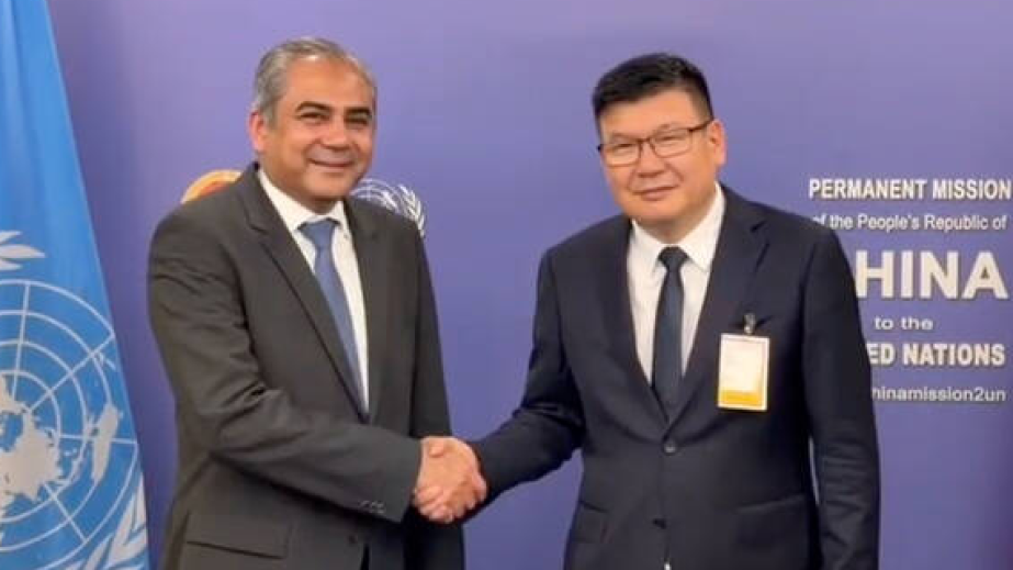 Pakistan, China reaffirm security partnership at UN meeting in New York