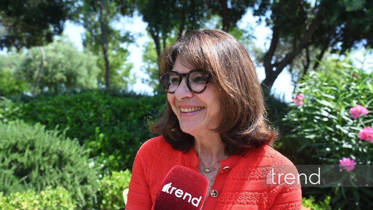 France should strongly support Azerbaijani-Armenian peace process - Nathalie Goulet