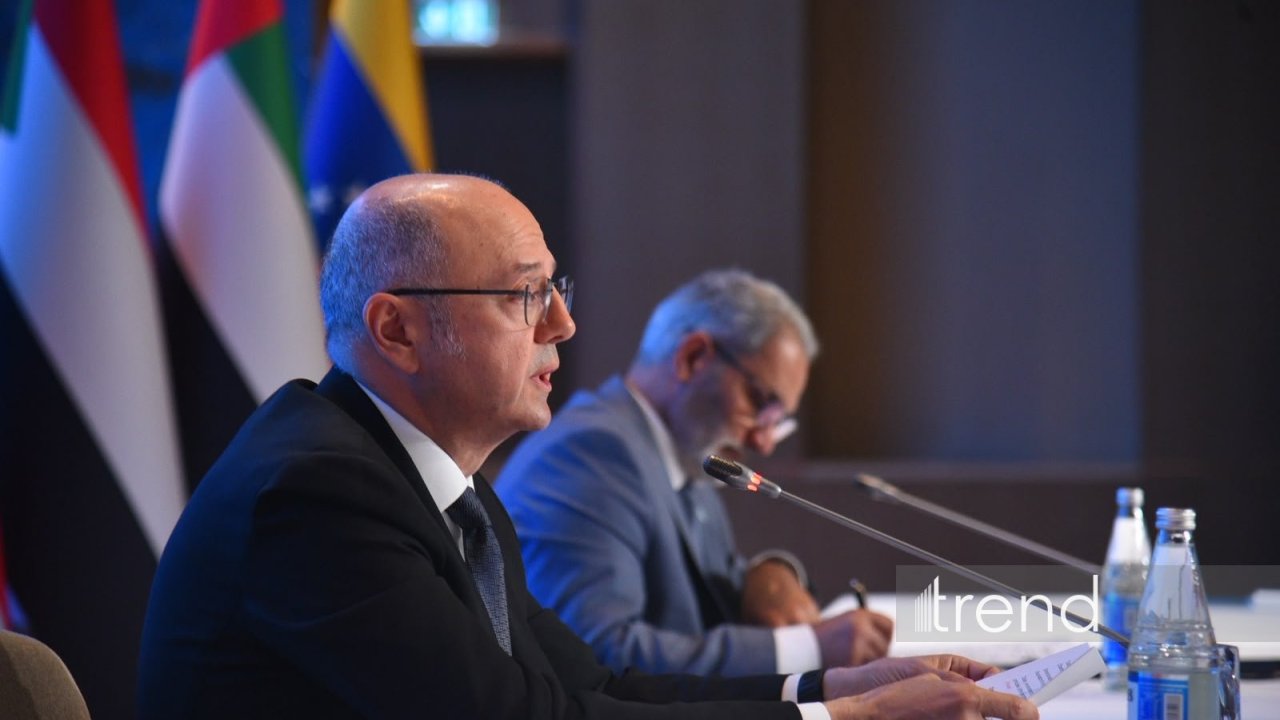 Azərbaycan OPEC+ formatında əməkdaşlığın möhkəmləndirilməsinə töhvə vermək niyyətindədir