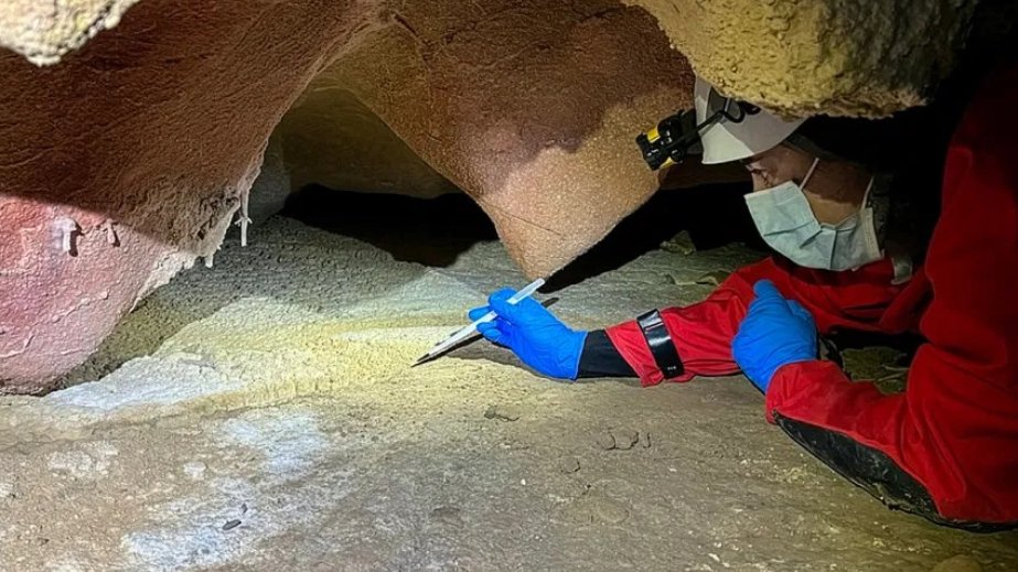 In painted caves, ancient human DNA clings to the walls