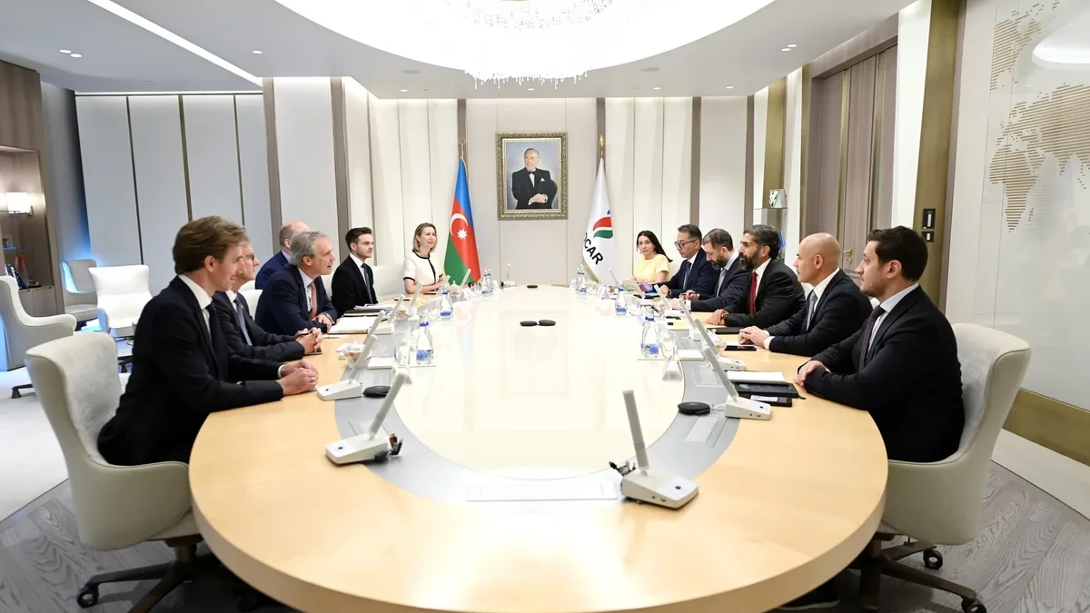 SOCAR mulls global energy market trends, new projects with Wood Mackenzie