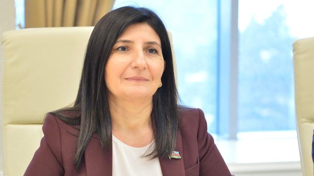 Qarşıdakı illərdə Azərbaycan-Almaniya əməkdaşlığının geostrateji ölçüləri daha da genişlənəcək - Sevil Mikayılova