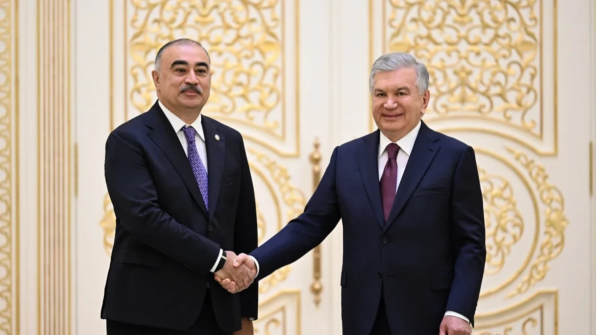 Rəşad Məmmədov etimadnaməsini Şavkat Mirziyoyevə təqdim edib