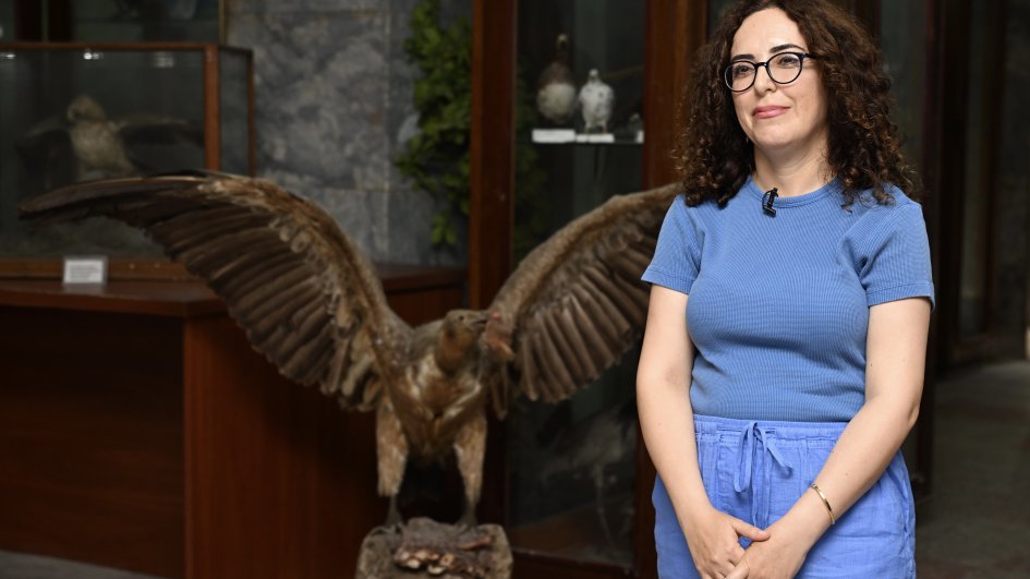 Zooloji Muzeyin müdiri: Qarabağ və Şərqi Zəngəzur nadir heyvan növləri ilə zəngindir