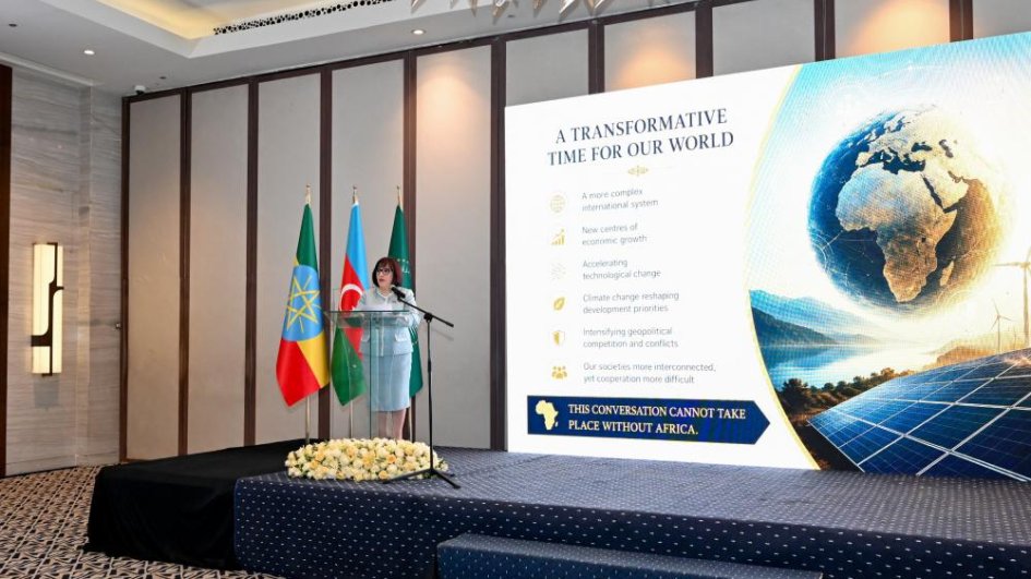 Azerbaijani Parliamentary Speaker meets with ambassadors of several countries as part of her official visit to Ethiopia