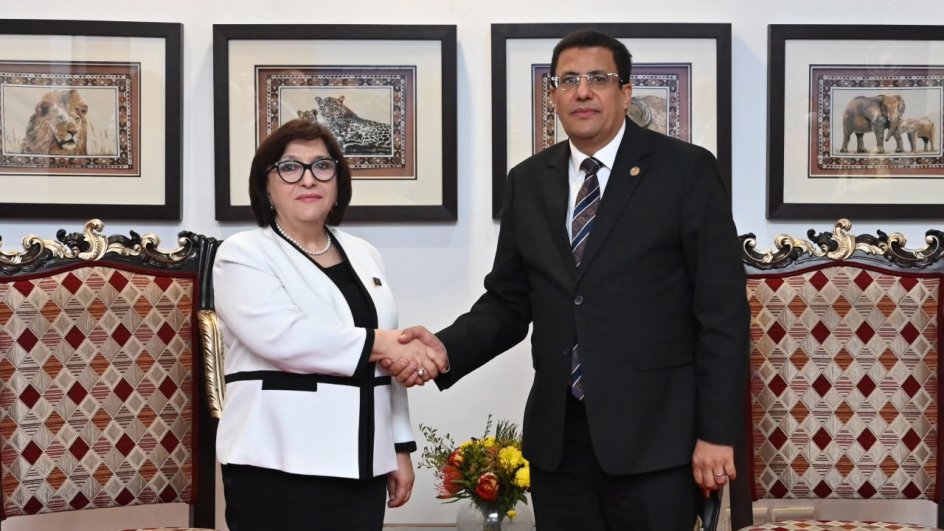Speaker of Azerbaijan’s Milli Majlis meets with President of Pan-African Parliament