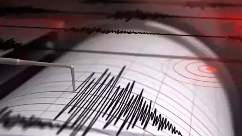 5.6 Magnitude Earthquake Strikes New Zealand