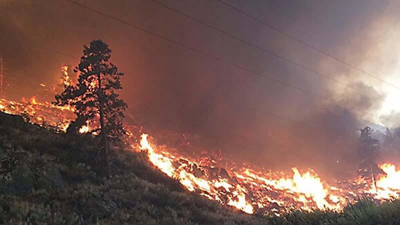 State of Emergency Declared Due to Wildfires in Washington