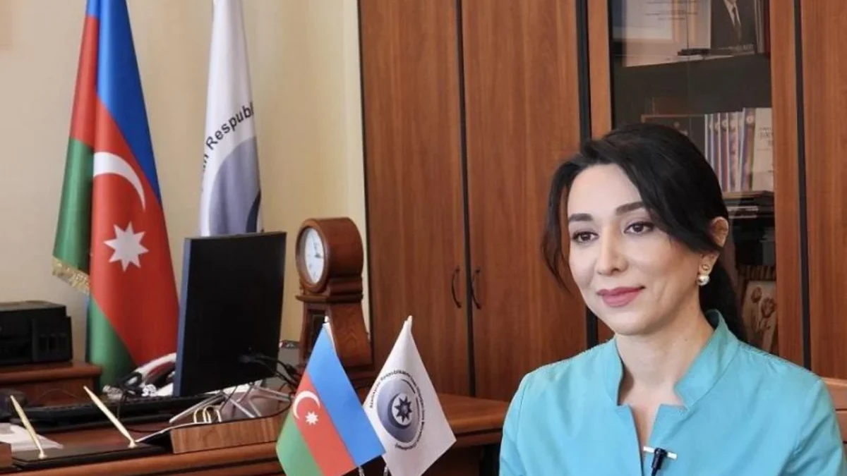 Ombudsman beynəlxalq təşkilatları minatəmizləmə ilə bağlı Azərbaycana dəstəyi gücləndirməyə çağırıb