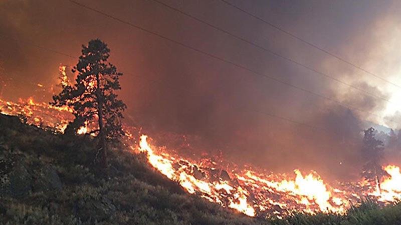 Approximately 60,000 people evacuated due to wildfires in Washington