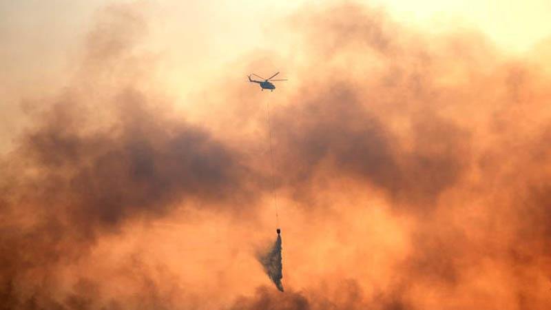 WWF: 70,000 hectares burned in Italy's summer wildfires