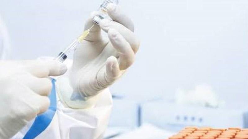 17 people die due to diphtheria outbreak in Nigeria