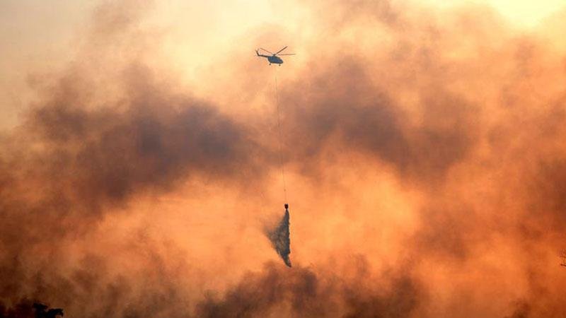 12 People Killed in Forest Fires in Algeria