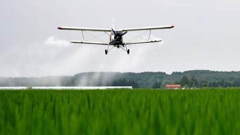Small plane crashes in the US: 4 dead