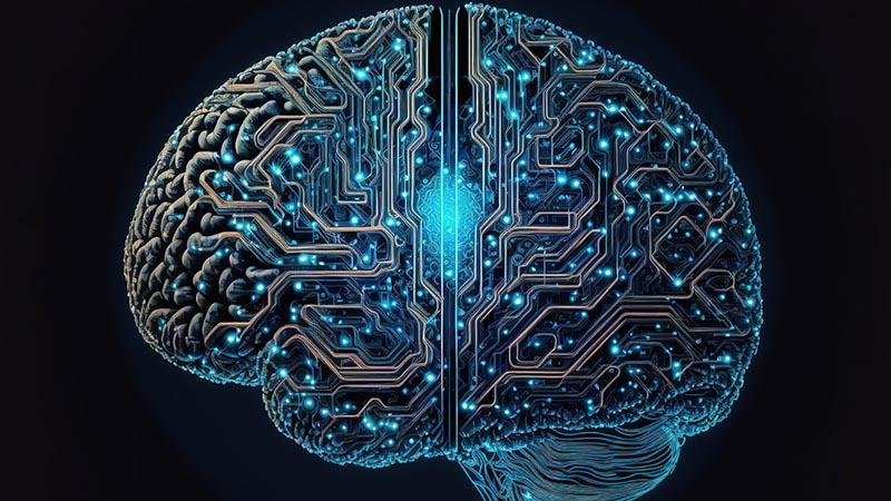 Araştırma: Bilim insanları kafatasının içinde gizlenen yeni bir organ keşfetti