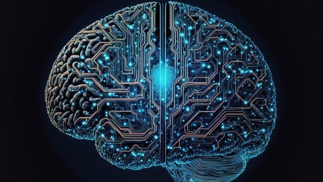 Araştırma: Bilim insanları kafatasının içinde gizlenen yeni bir organ keşfetti