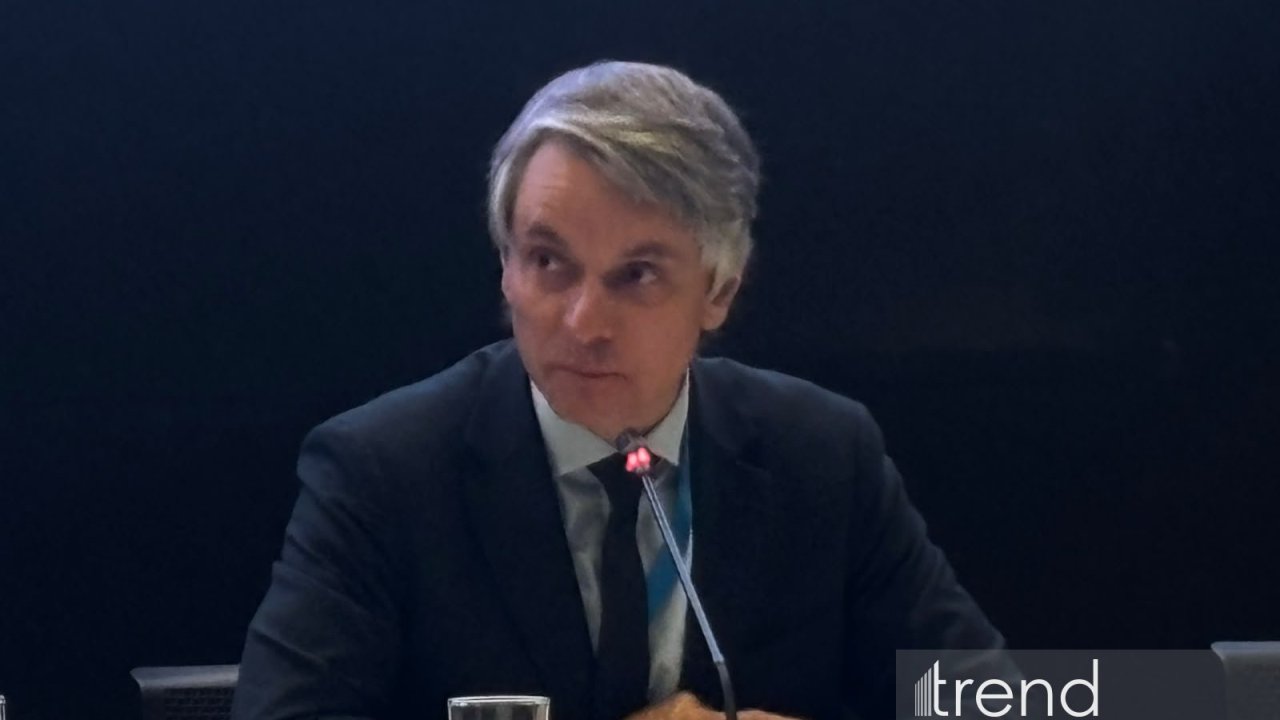 COP31-in məqsədləri biznes imkanlarına çevrilməlidir - UNECE