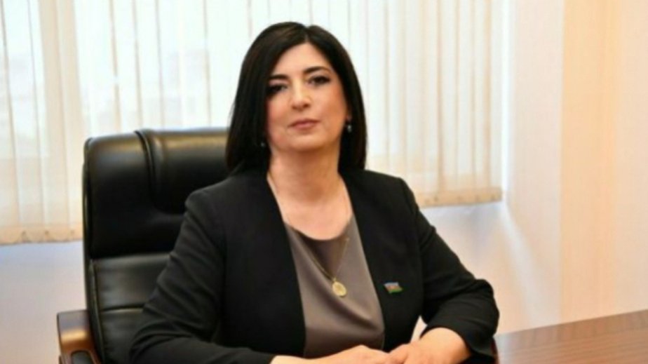 Xarici diplomatların Qarabağ və Şərqi Zəngəzura səfəri Azərbaycan həqiqətlərinin dünyaya çatdırılmasına xidmət edir - ŞƏRH