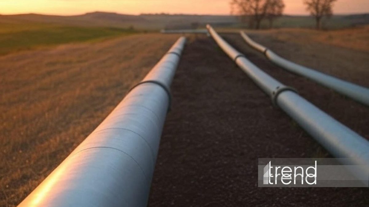 "Rystad Energy" "East-West" neft kəmərinin bağlanmasının dünya neft qiymətlərinə gözlənilən təsirləri barədə danışıb