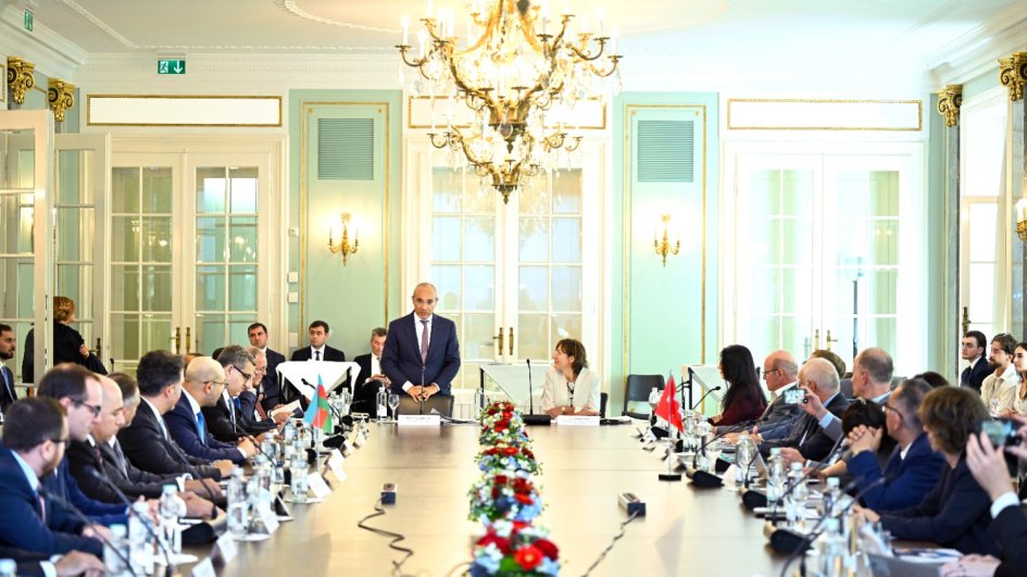 Minister of Economy: Azerbaijan's green energy potential creates new cooperation opportunities for Swiss companies