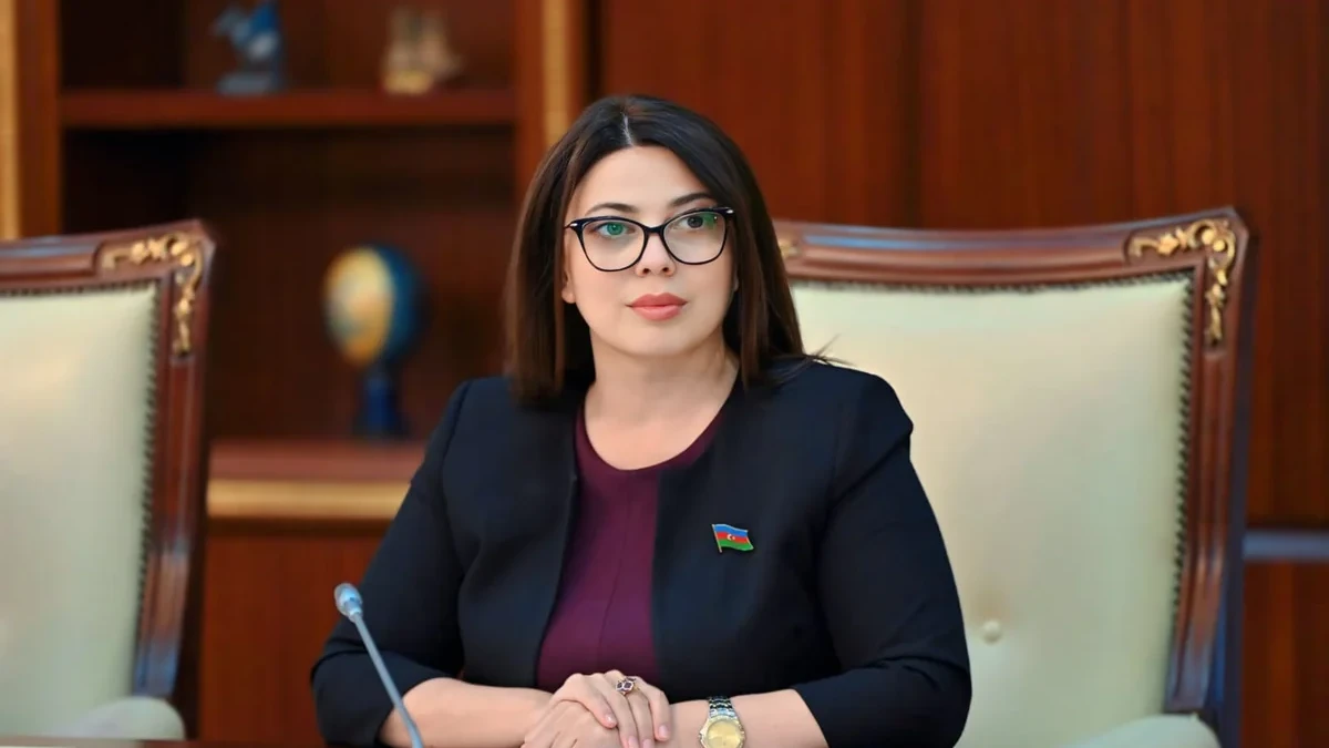 Deputat Cinayət Məcəlləsinə bank fırıldaqçıları ilə bağlı daha dəqiq müddəaların əlavə olunmasını təklif edib