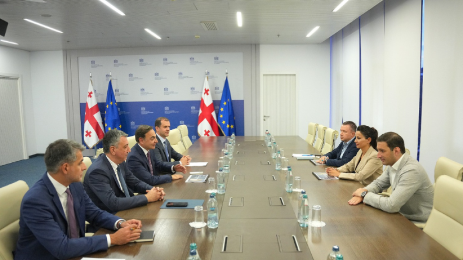Georgian Economy Minister meets executive management of Azerbaijani conglomerate PASHA Holding