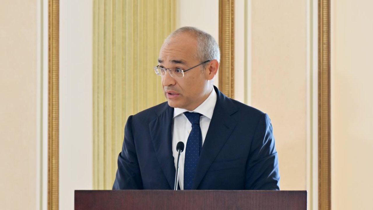 Azərbaycanın strateji minerallar üzrə regional emal imkanları genişləndirilə bilər - Nazir